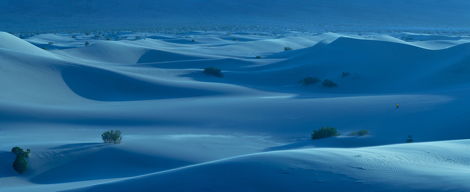 Moonlight Desert