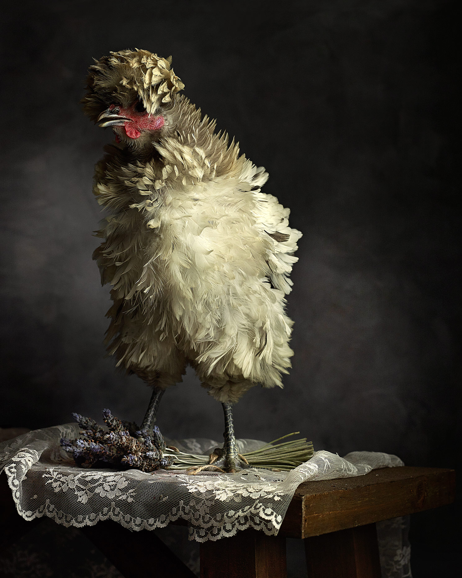 Painted Chicken 4
