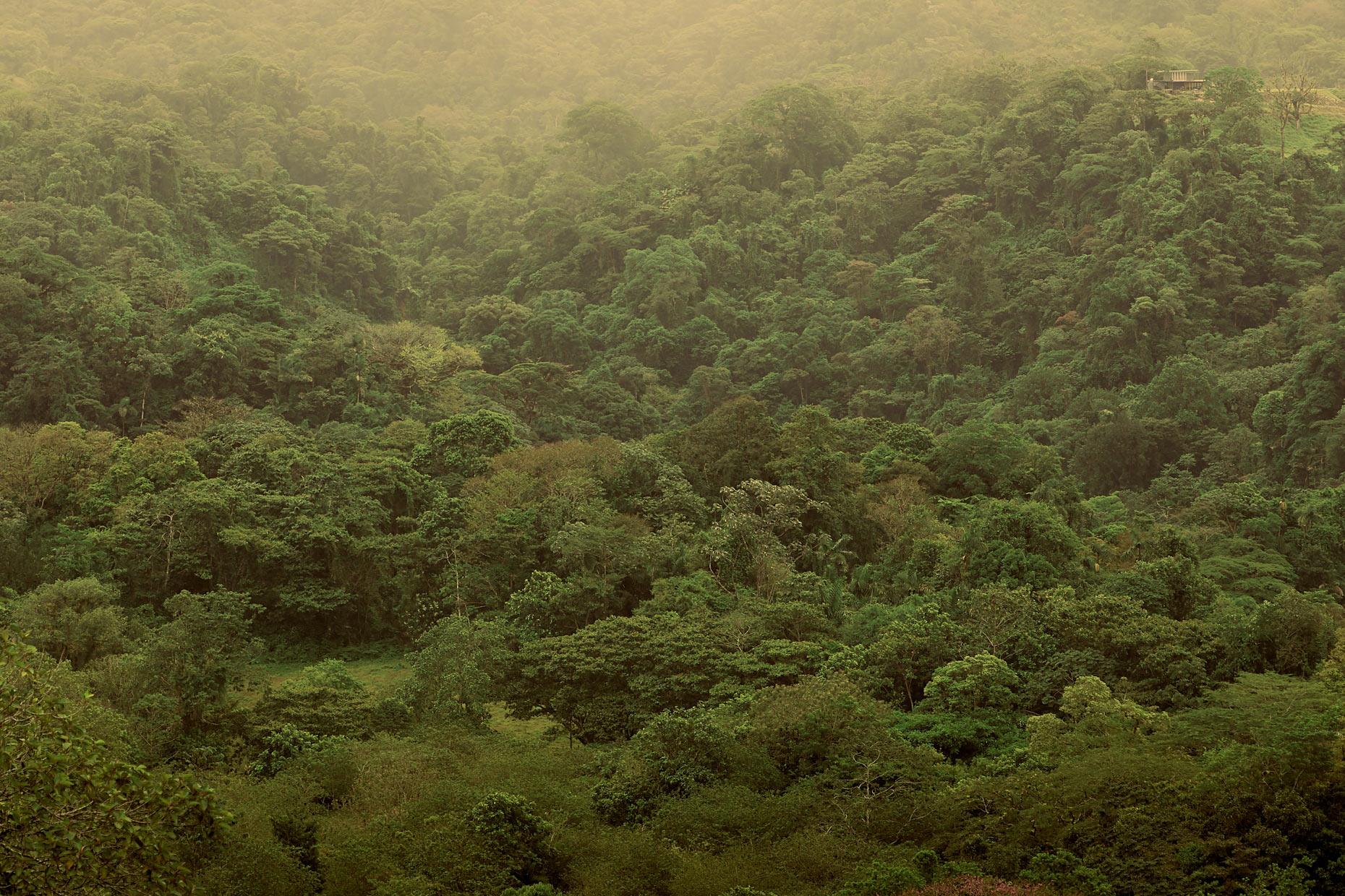 2019_CostaRica_WFP_0978