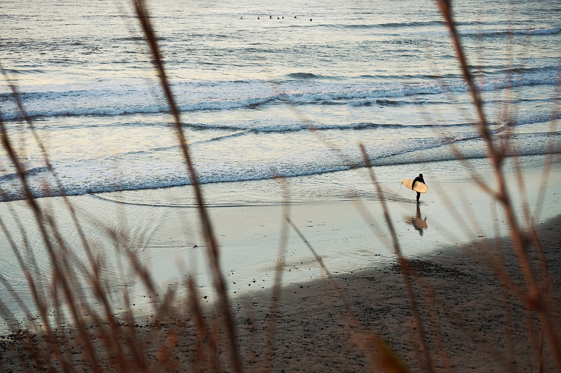 Single Surfer