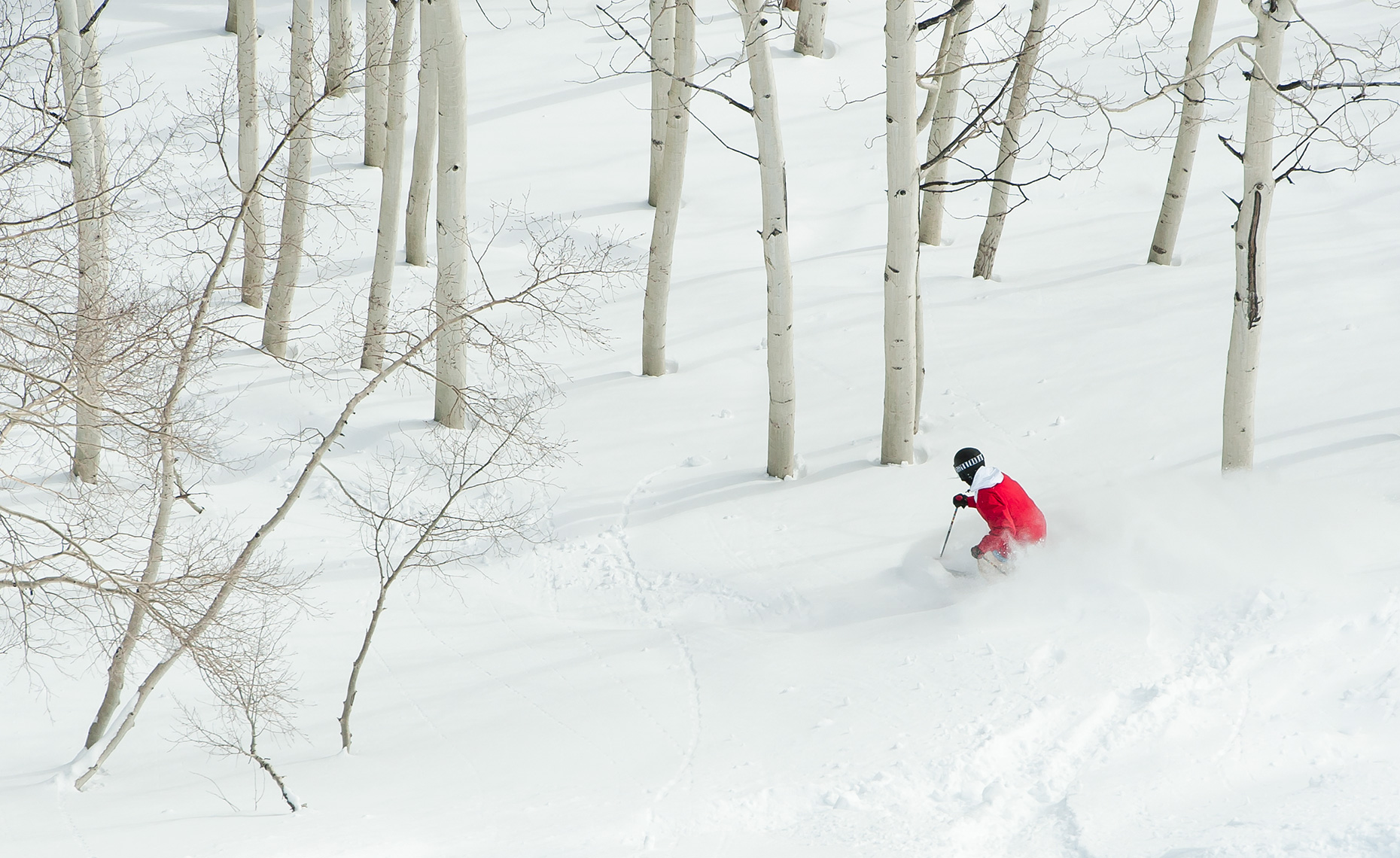 Aspen Ski Line